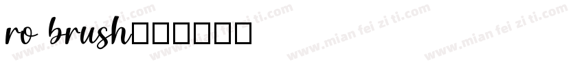 ro brush字体转换